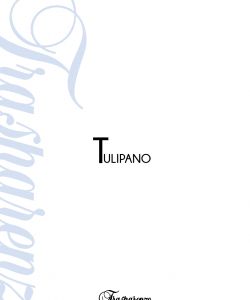 Trasparenze-SS-2017-36